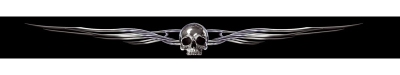 Zonnefilter skull+wings - zwart/zilver - 125x12cm universeel  winparts