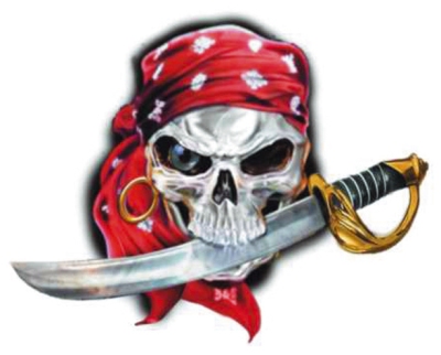 Foto van Sticker pirate skull - 11x9cm universeel via winparts