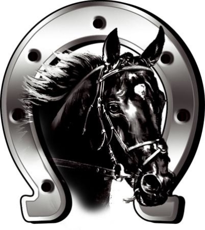 Sticker horse + horseshoe - 6x7cm universeel  winparts