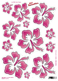 Stickervel flowers pink (34x24cm) universeel  winparts