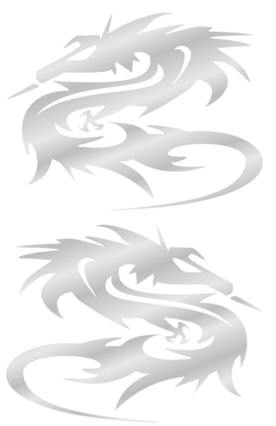 Foto van Sticker set cromo dragon (2pcs) universeel via winparts