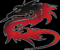 Sticker dragon (15x12,5cm) universeel  winparts