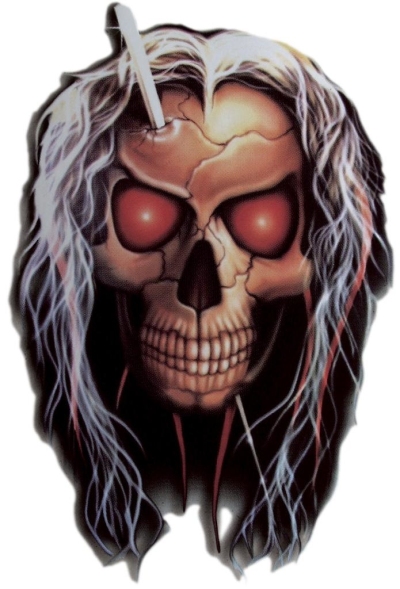 Foto van Auto sticker skull with pin 20,5x14cm universeel via winparts