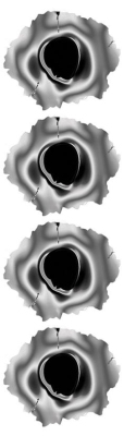 Foto van Stickerset bulletholes - zwart/metaal - 4x 8x7cm universeel via winparts