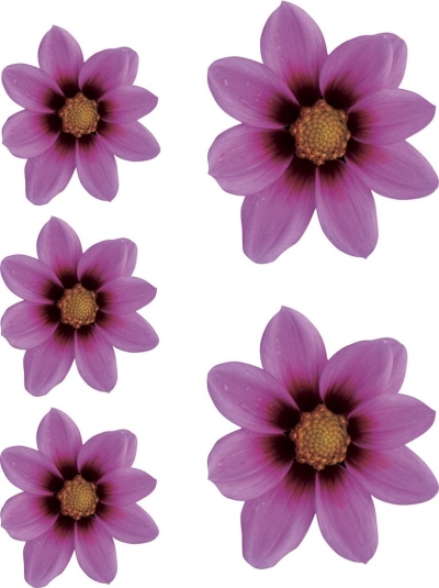 Foto van Sticker flower garden - roze - 2x 16x15cm + 3x 8,5x8cm universeel via winparts