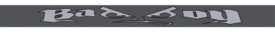 Zonnefilter badboy - grafiet/grijs - 125x10cm universeel  winparts