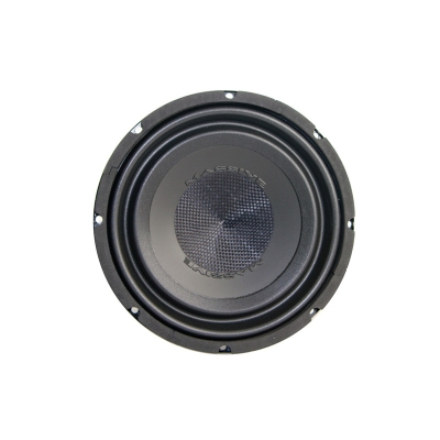 Massive 10'' (inch) subwoofer 4+4 universeel  winparts