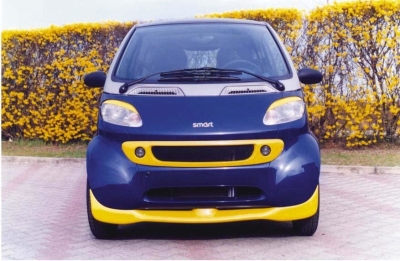 Lester sport grill mcc smart fortwo -2002 excl. lampen smart city-coupe (450)  winparts