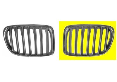 Grill links sierrooster silver bmw x1 (e84)  winparts