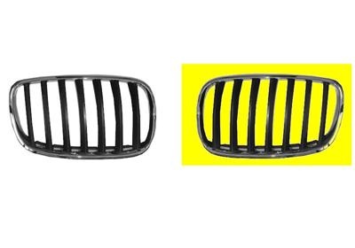 Grille l. sierrooster bmw x5 (e70)  winparts