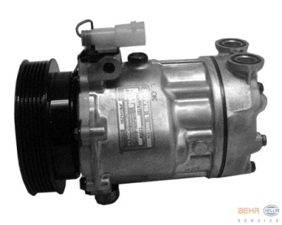Compressor, airconditioning rover 25 (rf)  winparts