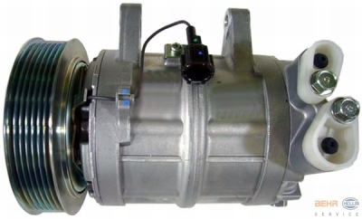 Compressor, airconditioning nissan terrano ii (r20)  winparts