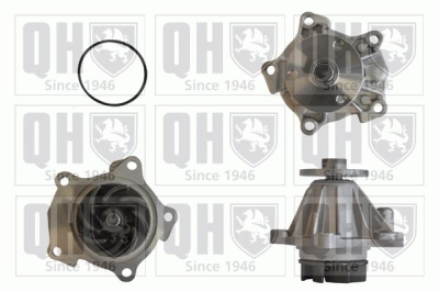 Waterpomp ford escort v (gal)  winparts